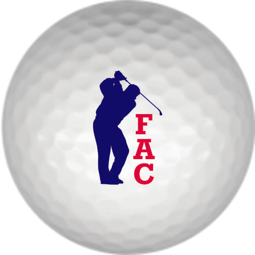 We received the golf balls you designed for us and they are just perfect!